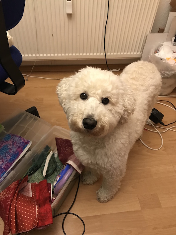 Nana´s Näh und Malwelt süß, süß, immer nur süß