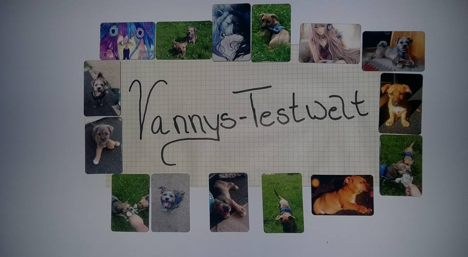 Kühlschrank Magnettafel : Vannys testwelt: magpics.de magnete wie sie dir gefallen Kühlschrank Magnettafel : Vannys testwelt: magpics.de magnete wie sie dir gefallen