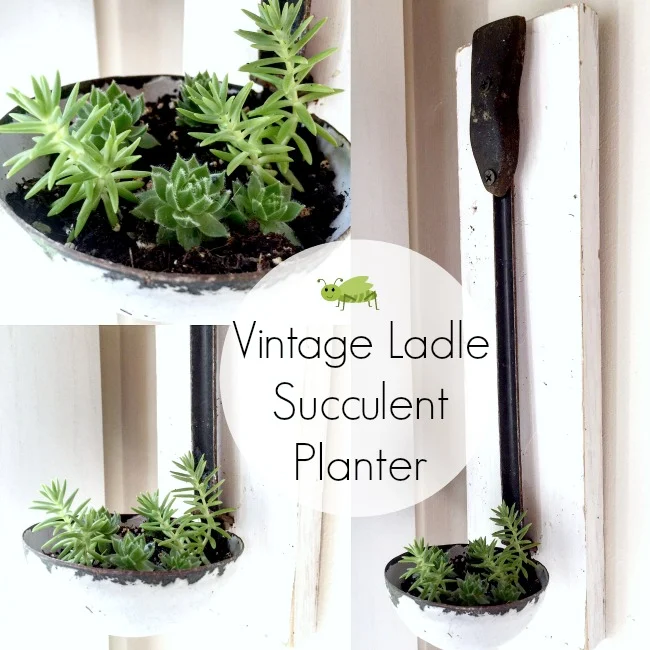 Vintage Ladle Succulent Planter and How to Plant Succulents www.homeroad.net