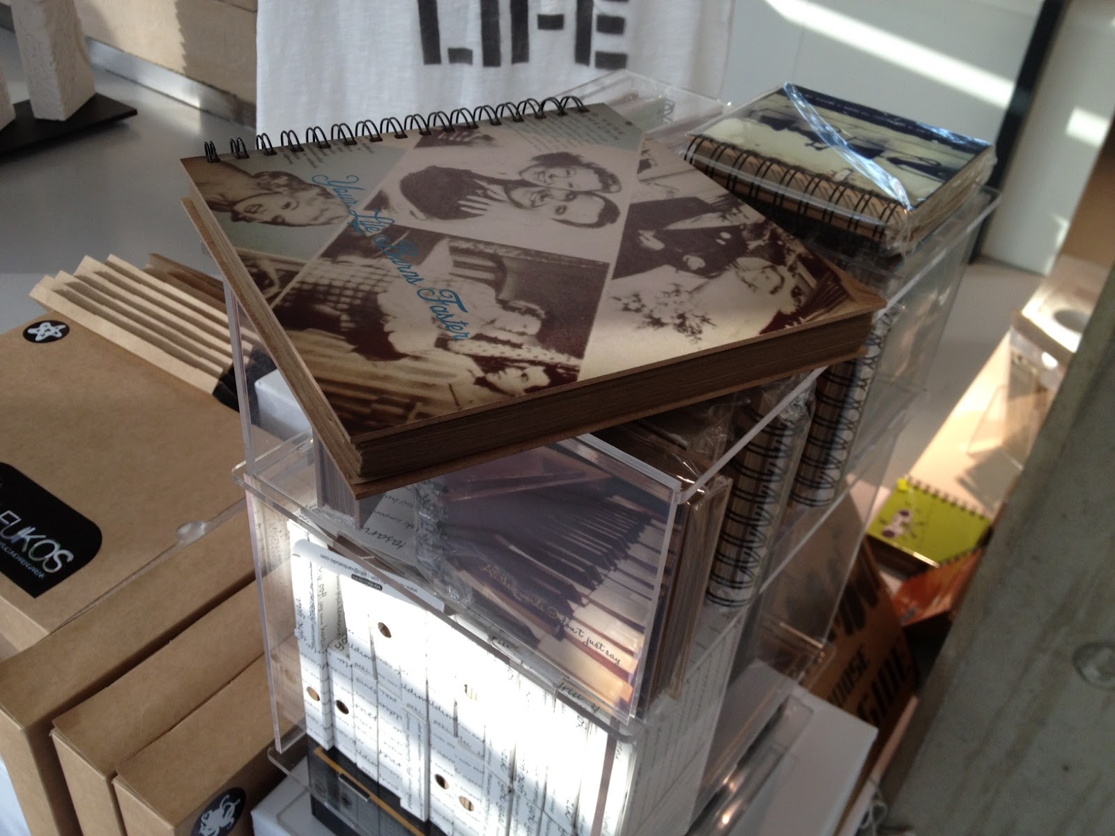 Kedi Süpürgesi Cermodern