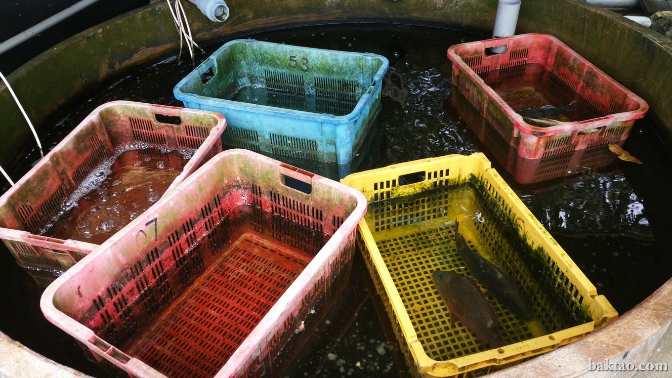 Baktao Heaven 8 reasons why Aunty Pond at Neo Tiew Crescent is one of