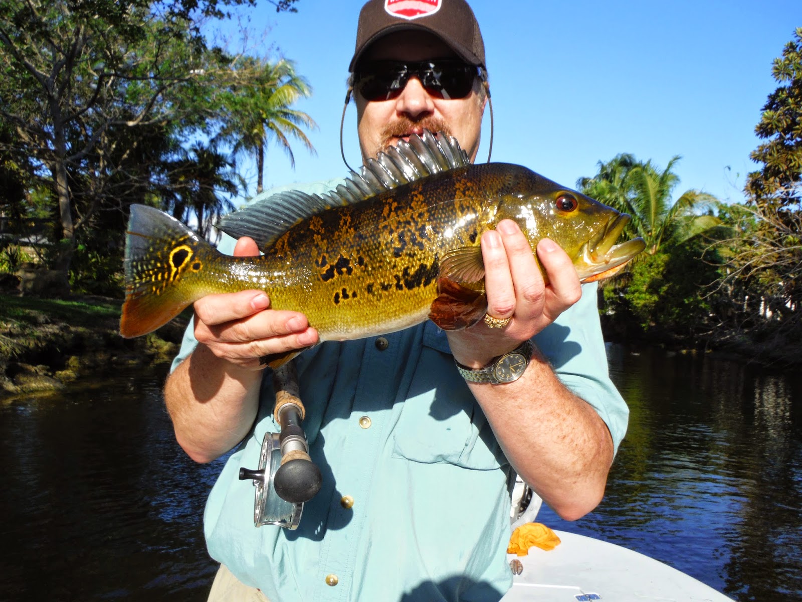 Fly Fishing the West with Howard Fly Fishing For Peacock Bass In Florida