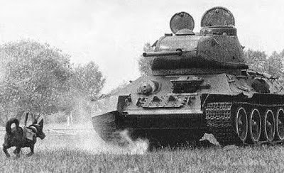 Perros contra tanques, Segunda Guerra Mundial