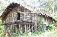 Rumah Adat di Indonesia Papua Barat