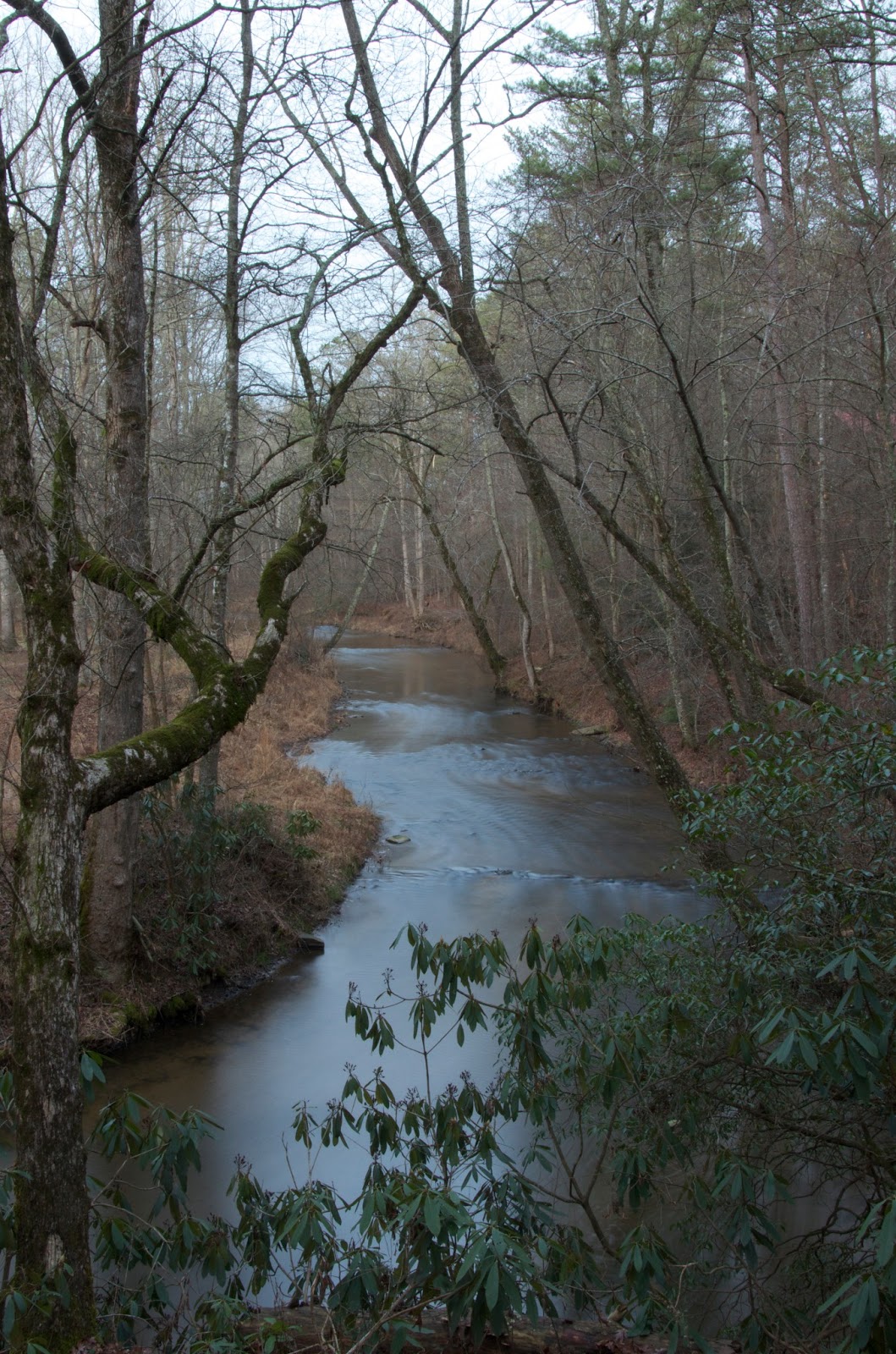 IRON & TWINE Ellijay,