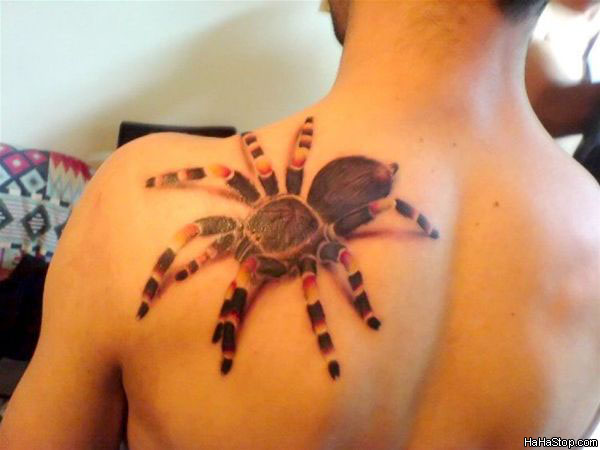 Labels back tatts Spider Tattoo upper back