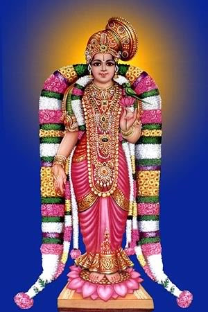 સંબંધિત છબી