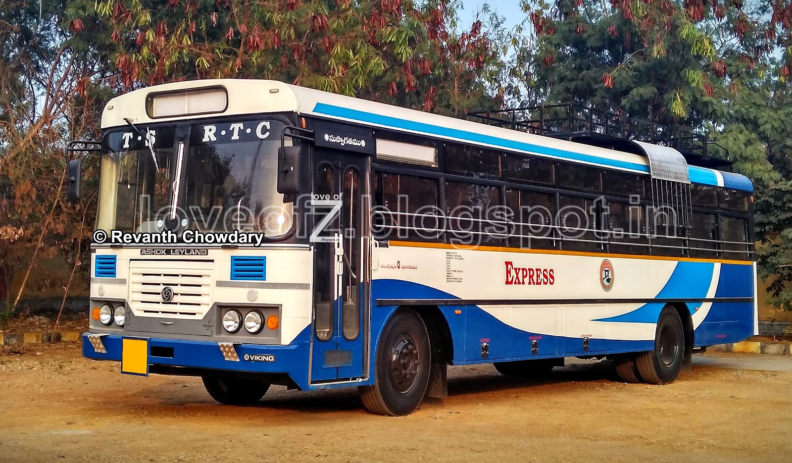 love-of-z-january-2015