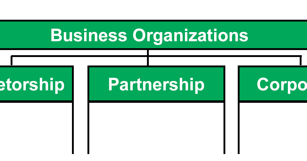 types-of-business-organizations-accounting-tally-taxation-tutorials