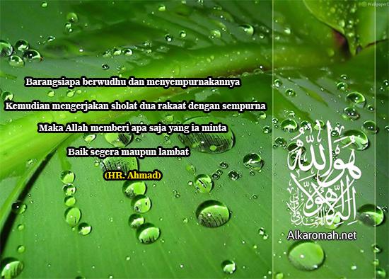 Sholat Hajat Tata Cara Doa Bacaan Niat Sholat Hajat Keutamaan Waktu Yang Mustajab