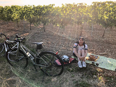 French Village Diaries #LazySundayinFrance picnic in the vineyards