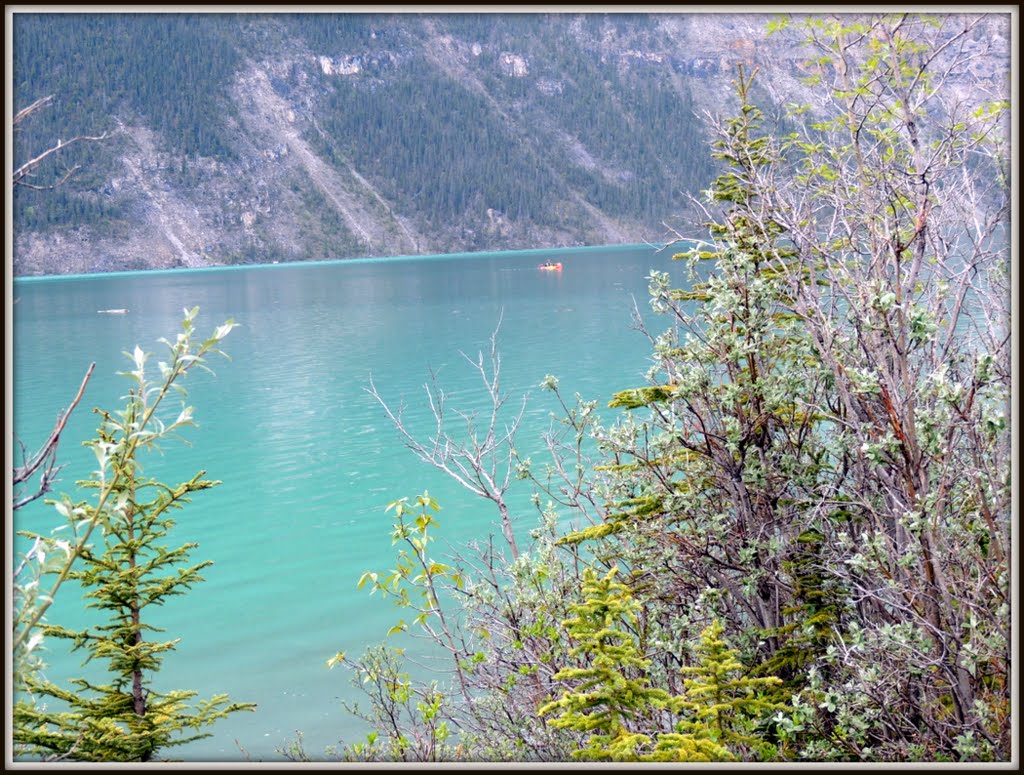 Wright's TrailsEnd Strawberry Flats Forever