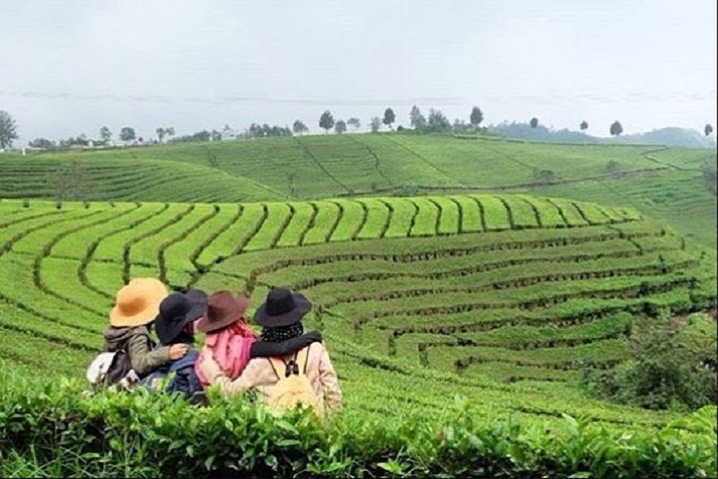 Kebun Teh Rancabali