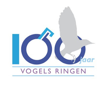 100 jaar vogels ringen 1911-2011 !