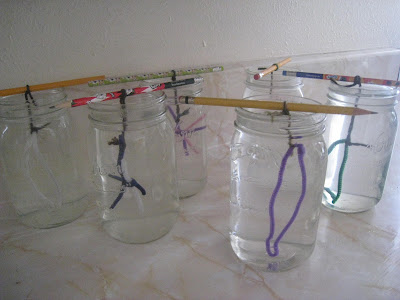 Growing Borax Crystals - Teach Beside Me