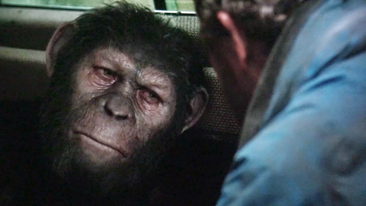 Планета обезьян революция 2014 субтитры обезьян. Планета обезьян Синеглаз. Коба Планета обезьян актер.