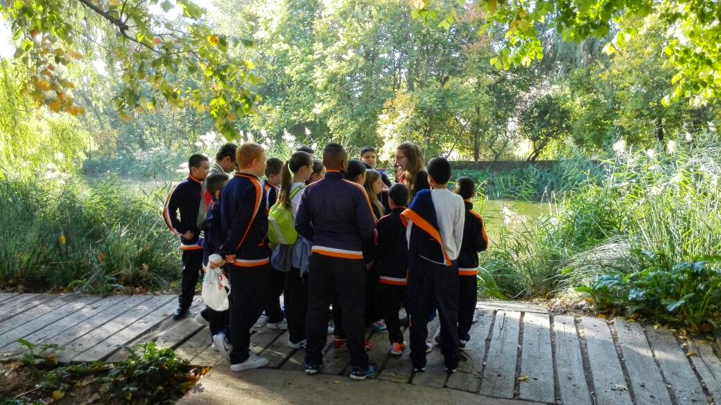 El Blog de 6º de primaria Visita al Parque de Marchalenes