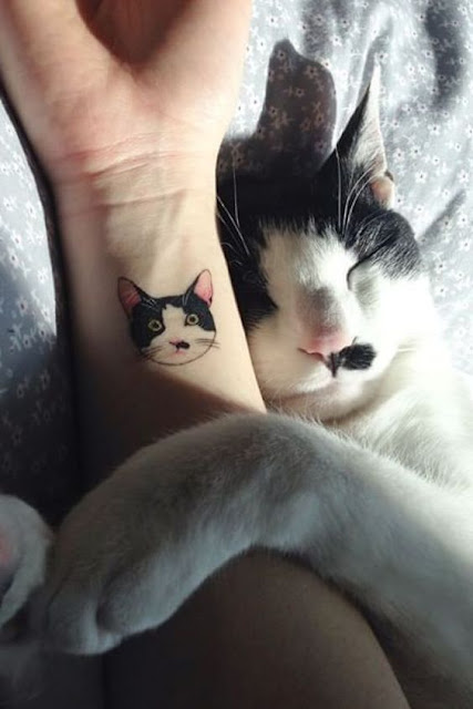 Tatuagens de gato Tatuagens de gato