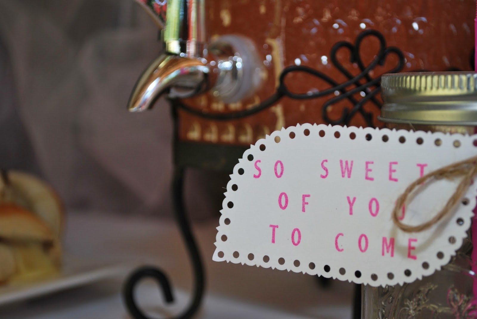 Two Shades of Kraze Two Shades of Pink Birthday Party