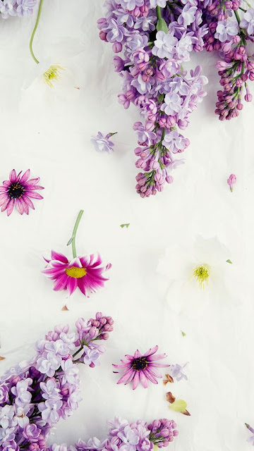 “Say đắm” bộ hình nền điện thoại cánh hoa tuyệt đẹp