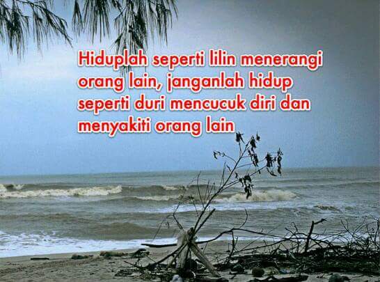 Image Result For Kata Mutiara Indah Di Malam Hari Image Result For Kata Mutiara Indah Di Malam Hari