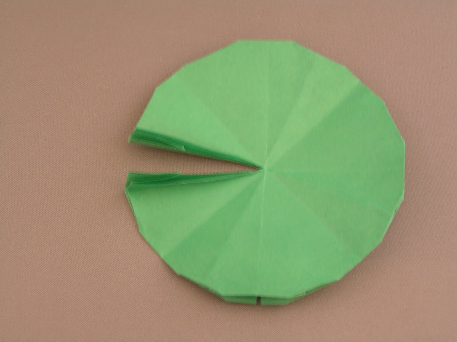 JC's Blog Origami Water Lilly and LillyPad