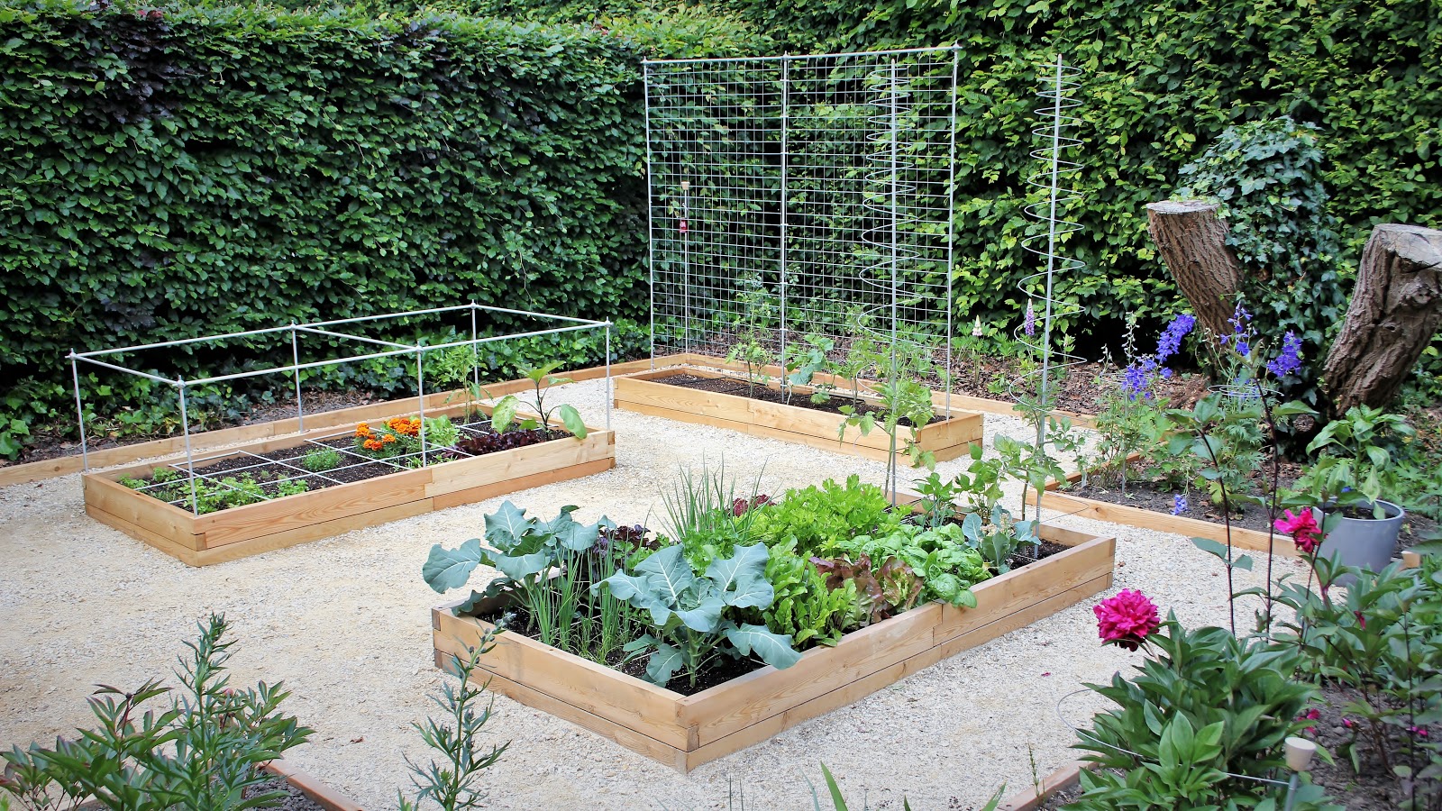 binair Doodt Regelmatig Een moestuin met houten moestuinbakken, precies zoals jij het wil!