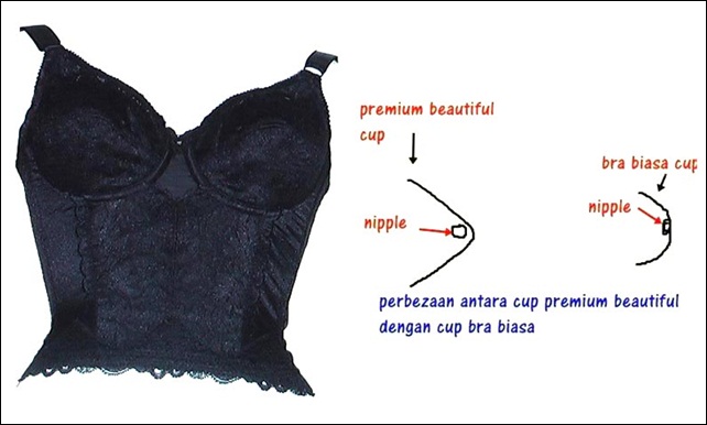 Image result for premium beautiful long bra pb