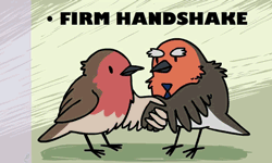 a gif video of a bird appearing for a job interview with desirable qualities and then being hired