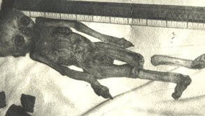 Supuesto-esqueleto-dropa.jpg