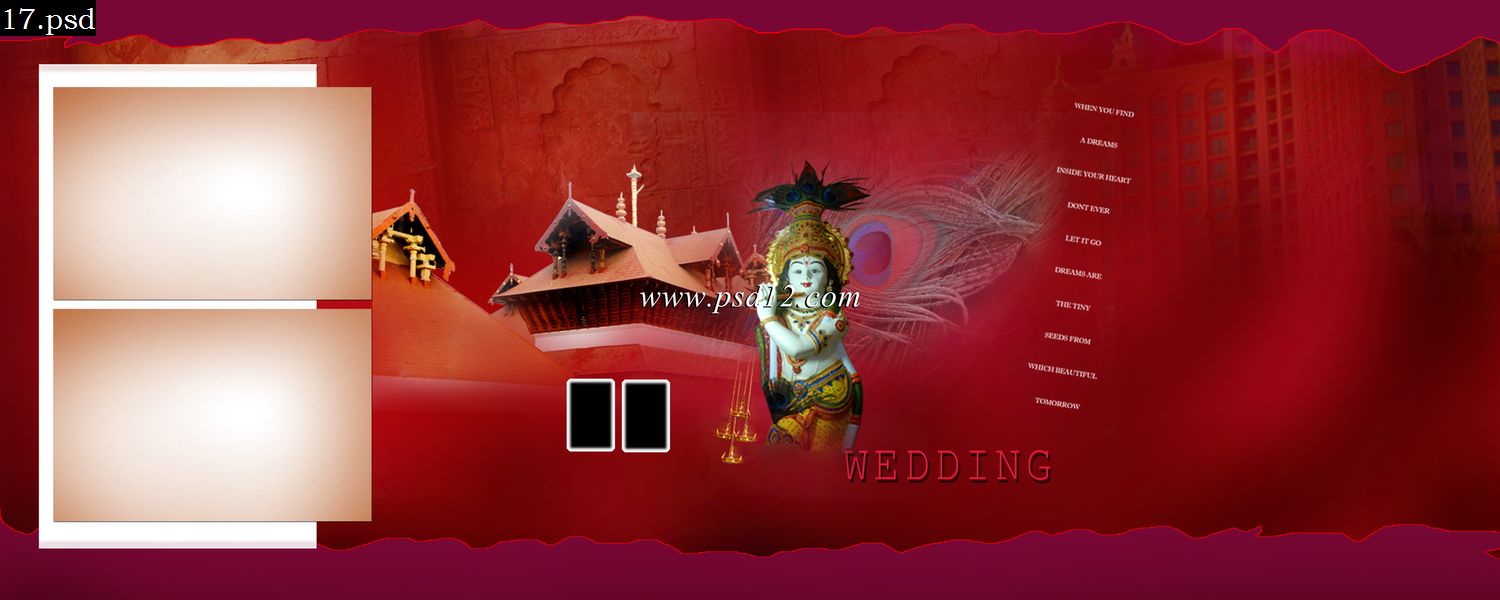 Backgrounds 48 Page Karizma Album Design 20