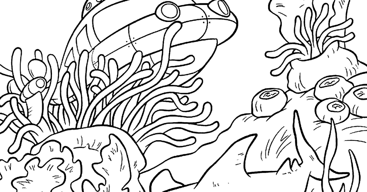 gambar pemandangan bawah laut untuk mewarnai penyu raksasa