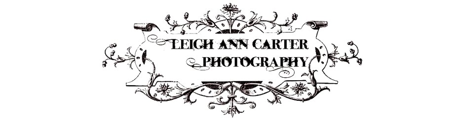 Leigh Ann Carter Photography- Dickinson/League City