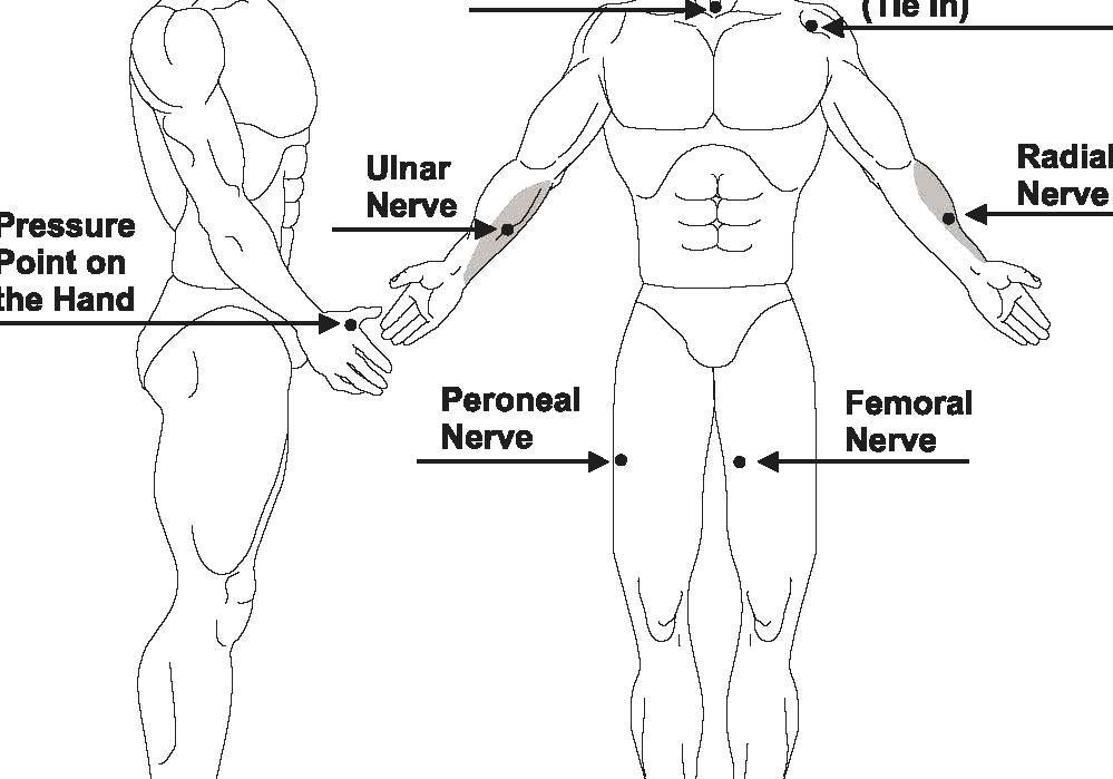 Pressure Point Diagram Of The Human Body
