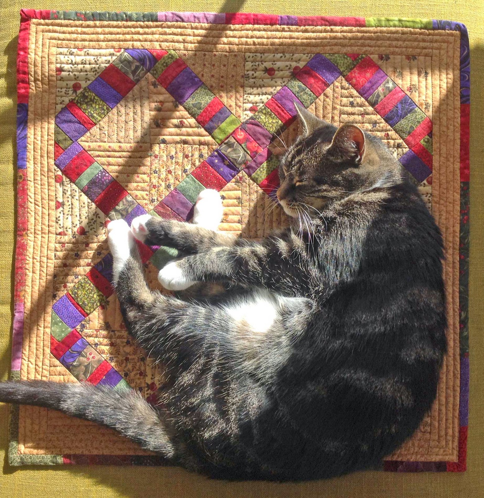 Suzi the Cat on her Cat Mat quilt