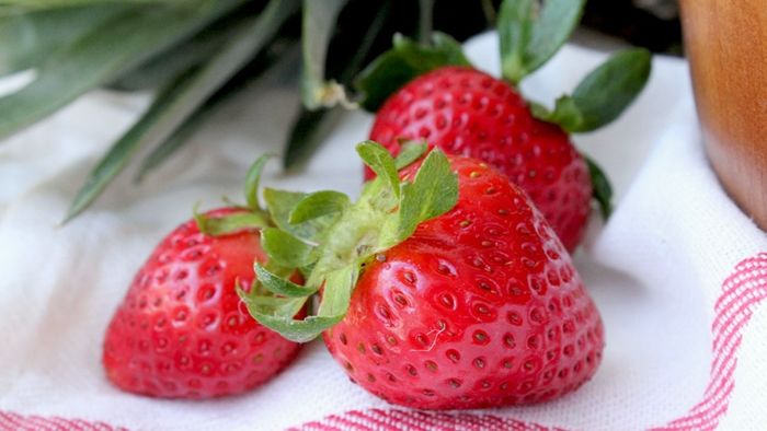 Buah strawberry mengandung zat antioksidan lengkap Buah strawberry mengandung zat antioksidan lengkap