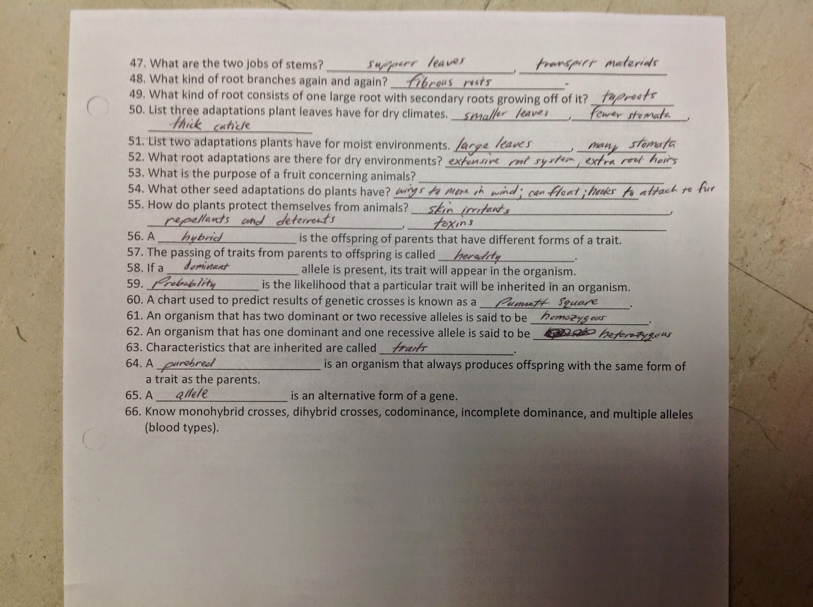bio final exam notes Honors biology final exam review guide how to study for the exam 1 review the major concepts in each unit and unit summary 2 determine the areas you need the most review on and review worksheets and study guides for these areas. bio final exam notes Honors biology final exam review guide how to study for the exam 1 review the major concepts in each unit and unit summary 2 determine the areas you need the most review on and review worksheets and study guides for these areas.