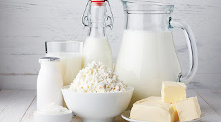 süt ve süt ürünleri
