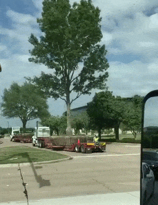 5.gif