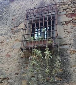 Pals, provincia de Girona. Pals, provincia de Girona.