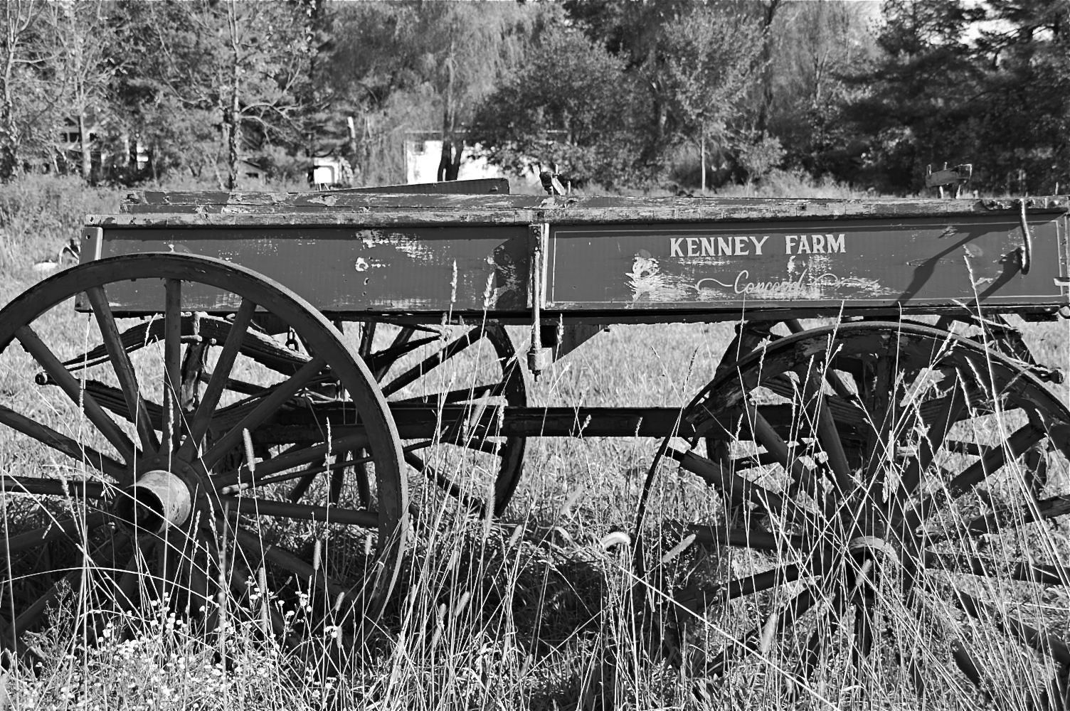 inspired to create Black and White