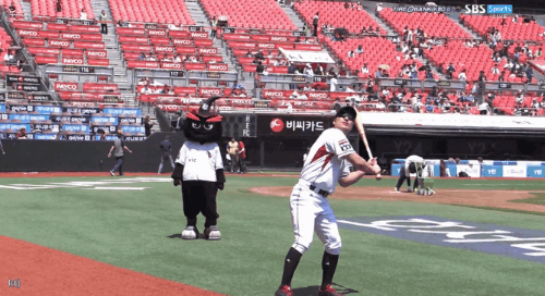 theqoo inserted image