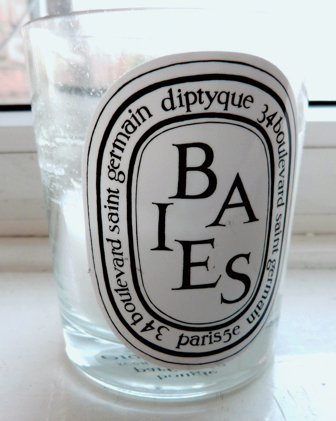A Dose Of Daniella Review Diptyque Baies Candle