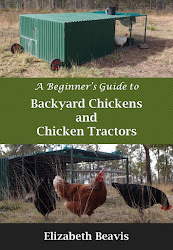 Chicken tractor ebook coming soon!