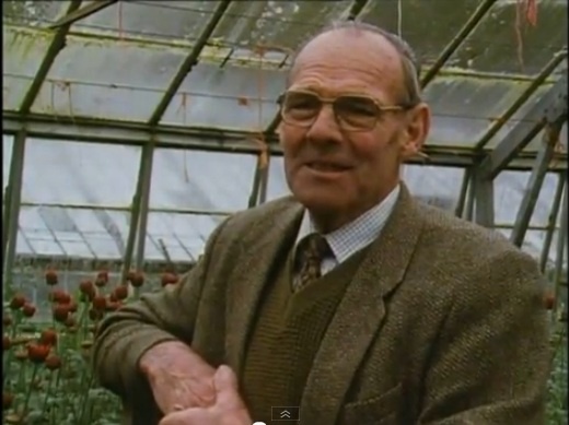 Harry Dodson S Practical Kitchen Garden Harry Dodson S Practical Kitchen Garden