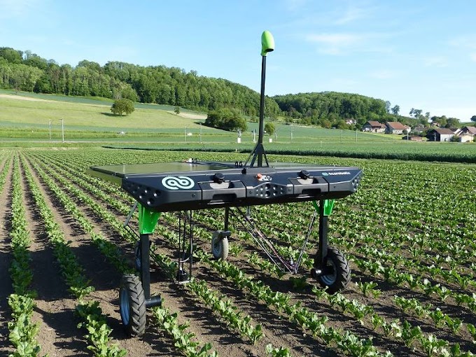 Automátas con IA como ecoRobotix reducirán la demanda de herbicidas y pesticidas