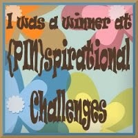 (PIN)spirational Challenge