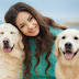 SRF Veterianry | Indian Veterinary Research Institute