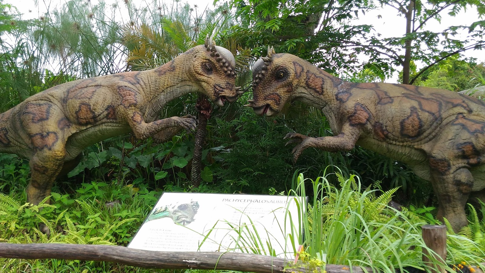 100+ Gambar Taman Legenda Dinosaurus Paling Bagus 100+ Gambar Taman Legenda Dinosaurus Paling Bagus