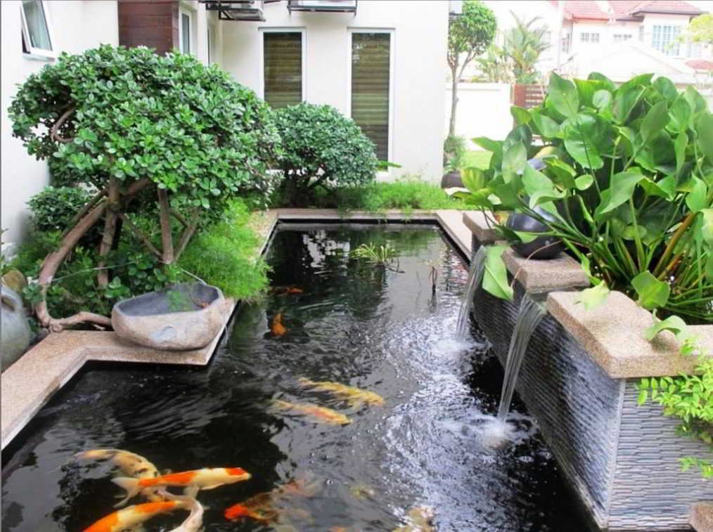 Contoh Desain Taman Minimalis Indah dengan Kolam Ikan Contoh Desain Taman Minimalis Indah dengan Kolam Ikan